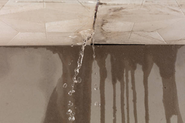 Professional Structural Drying technician working in Garden City, MI